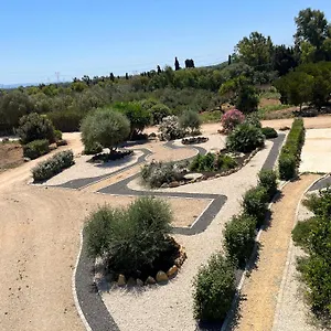 Piandelidei Bed & Breakfast